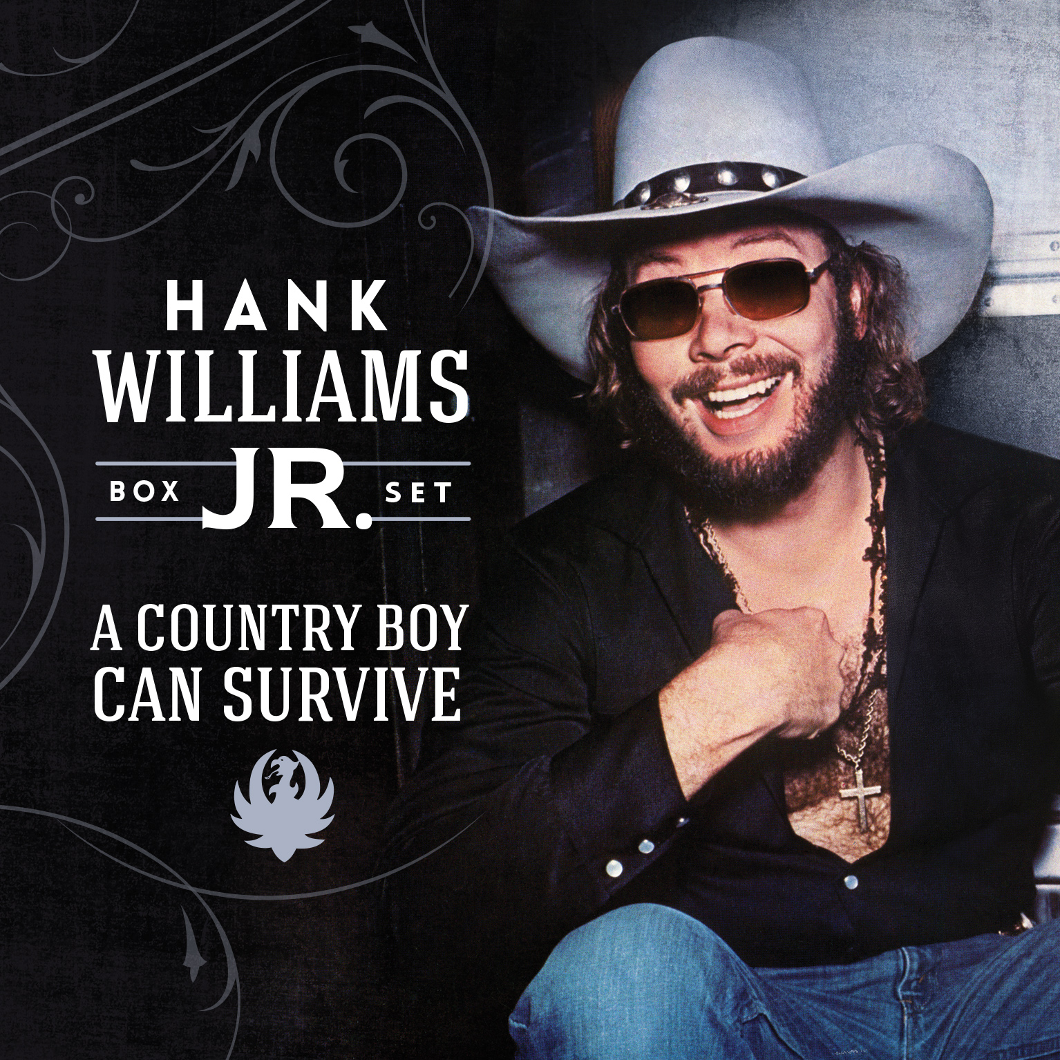 Hank Williams Jr Releases 4CD Box Set Available At Walmart Country